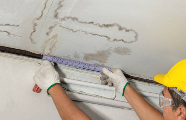 Reliable Water Damage contractor in Pelham, NH by Water Damage Irwin